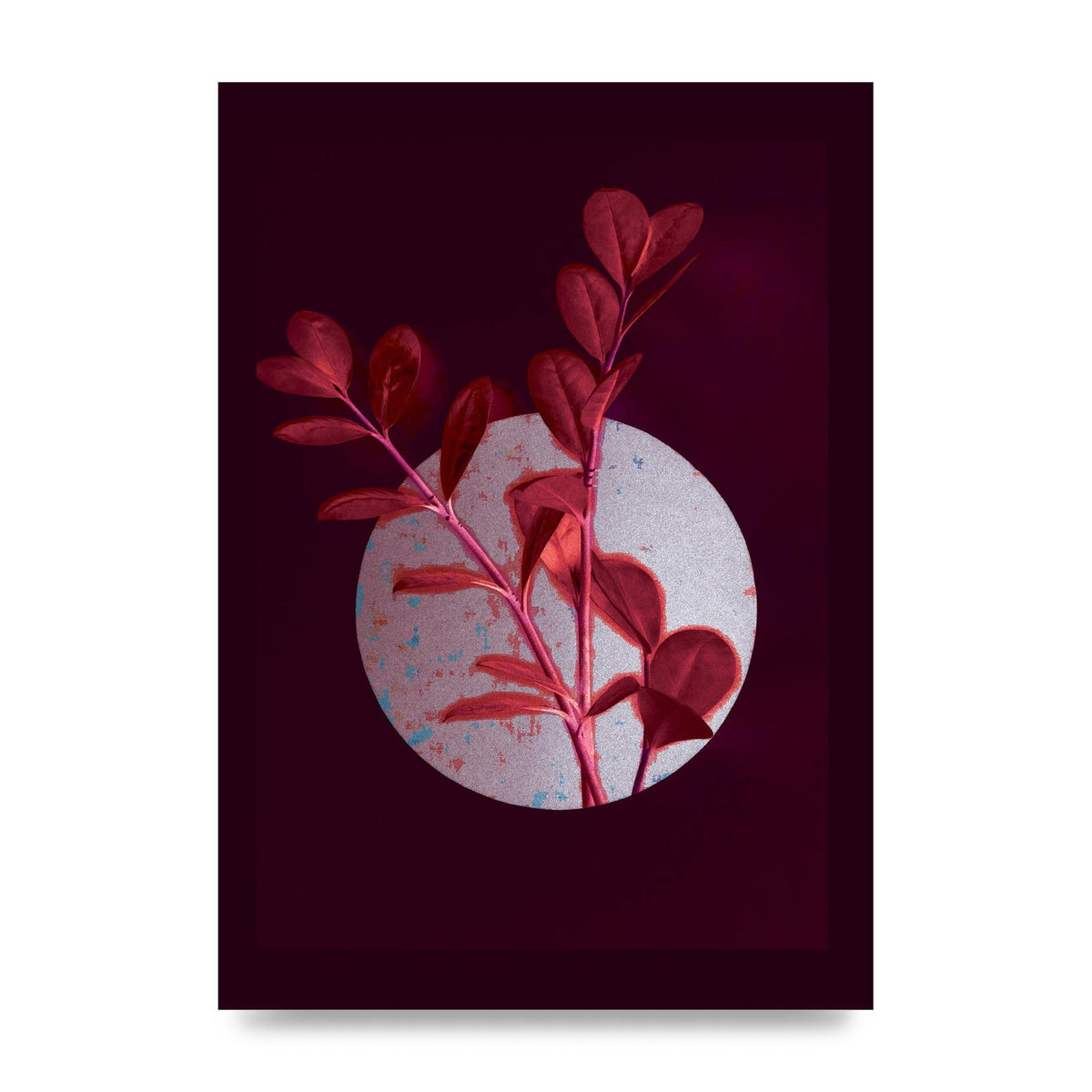 Dark Pink Red Flower Printed Poster - unframed print
