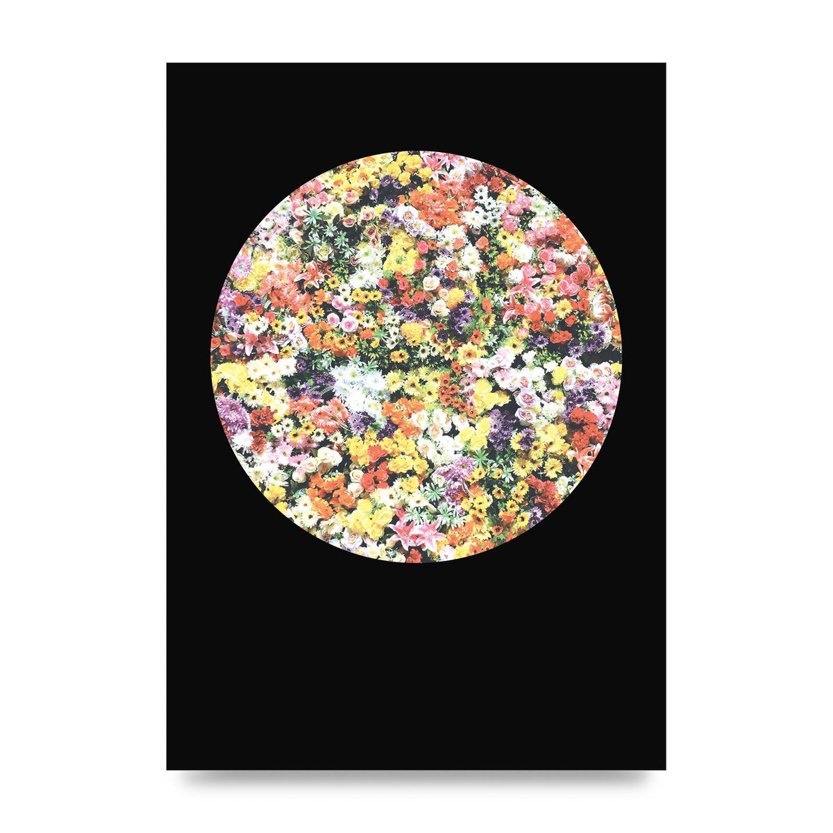 Flower Disc Black Printed Poster - unframed print