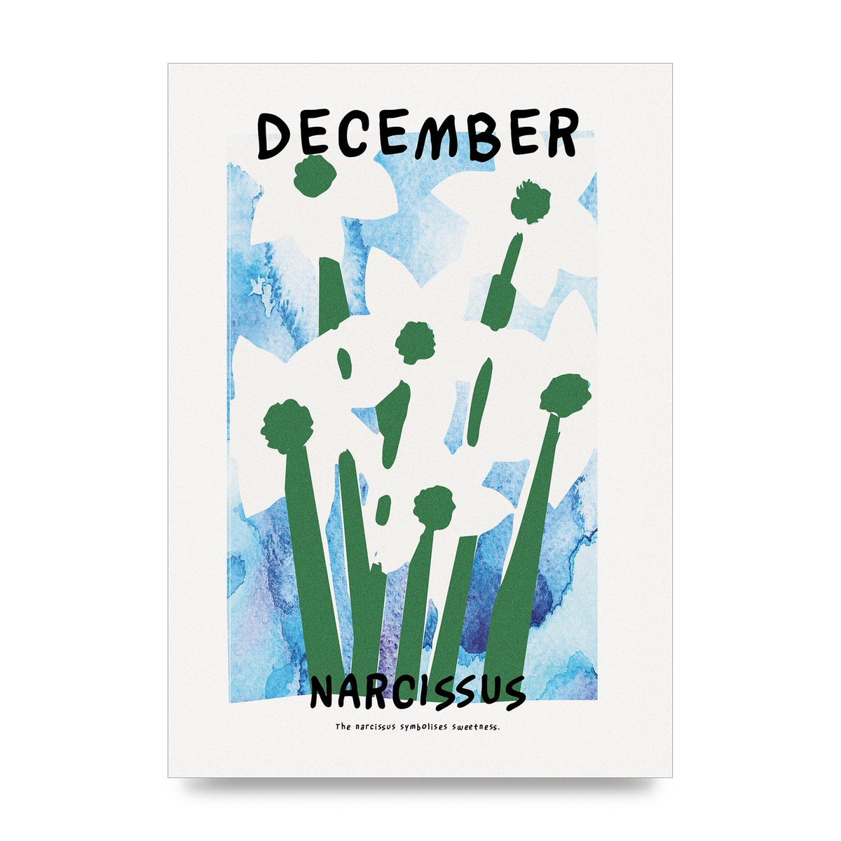 Birth Month Flower Series December Printed Poster - unframed print