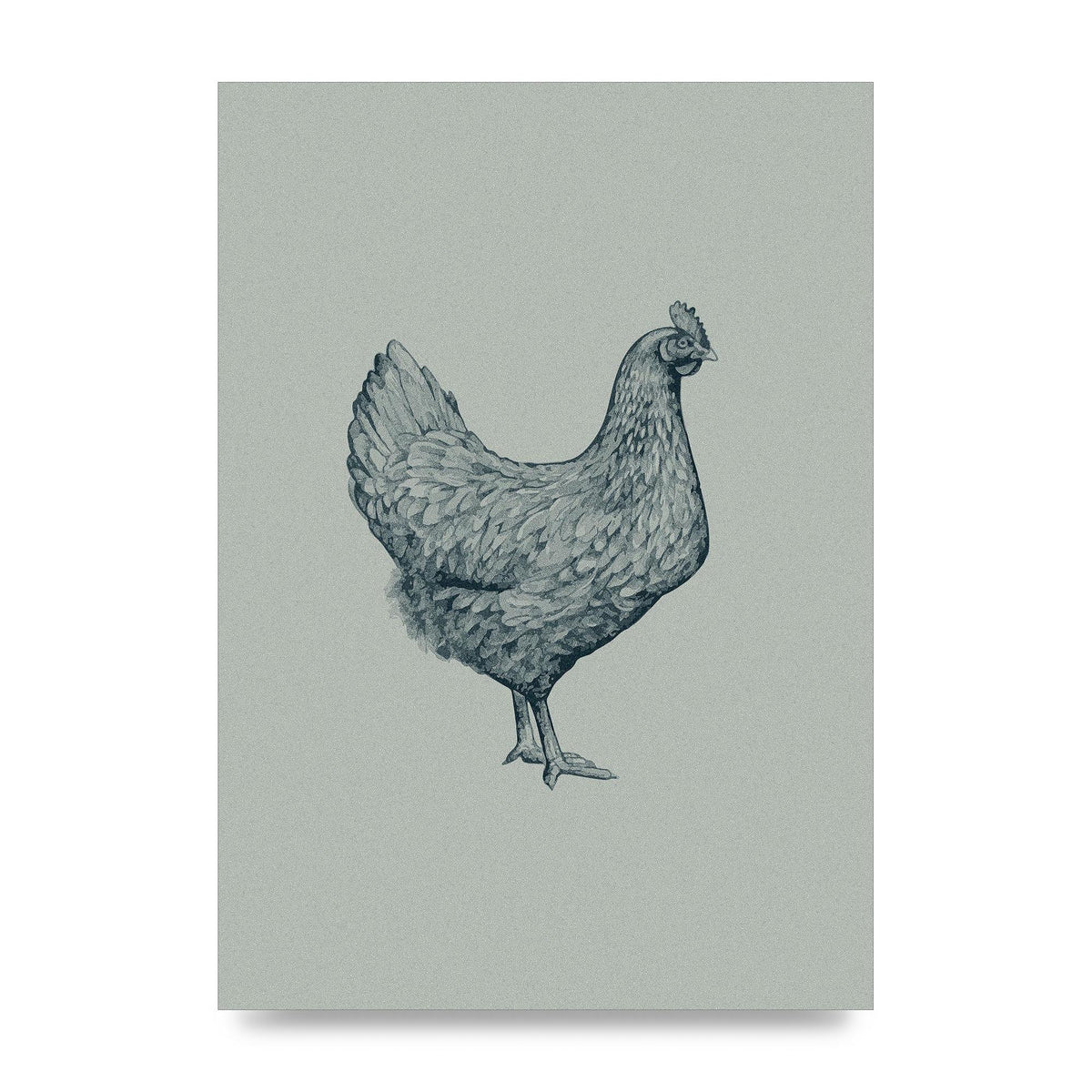 Chicken Illustration Printed Poster - unframed print