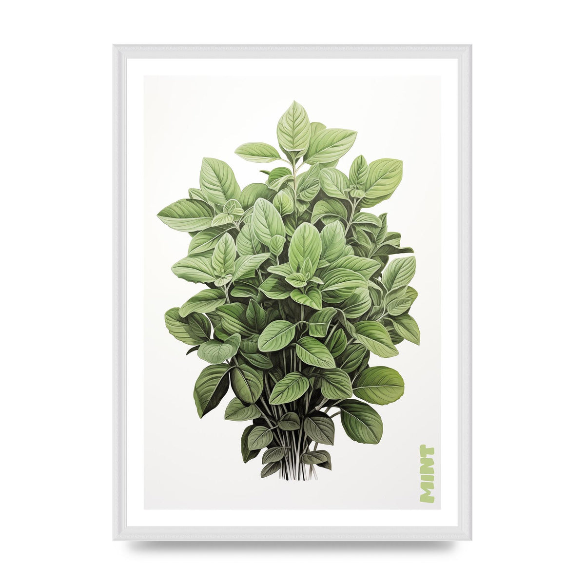 Mint Leaves Black and White Refreshment
