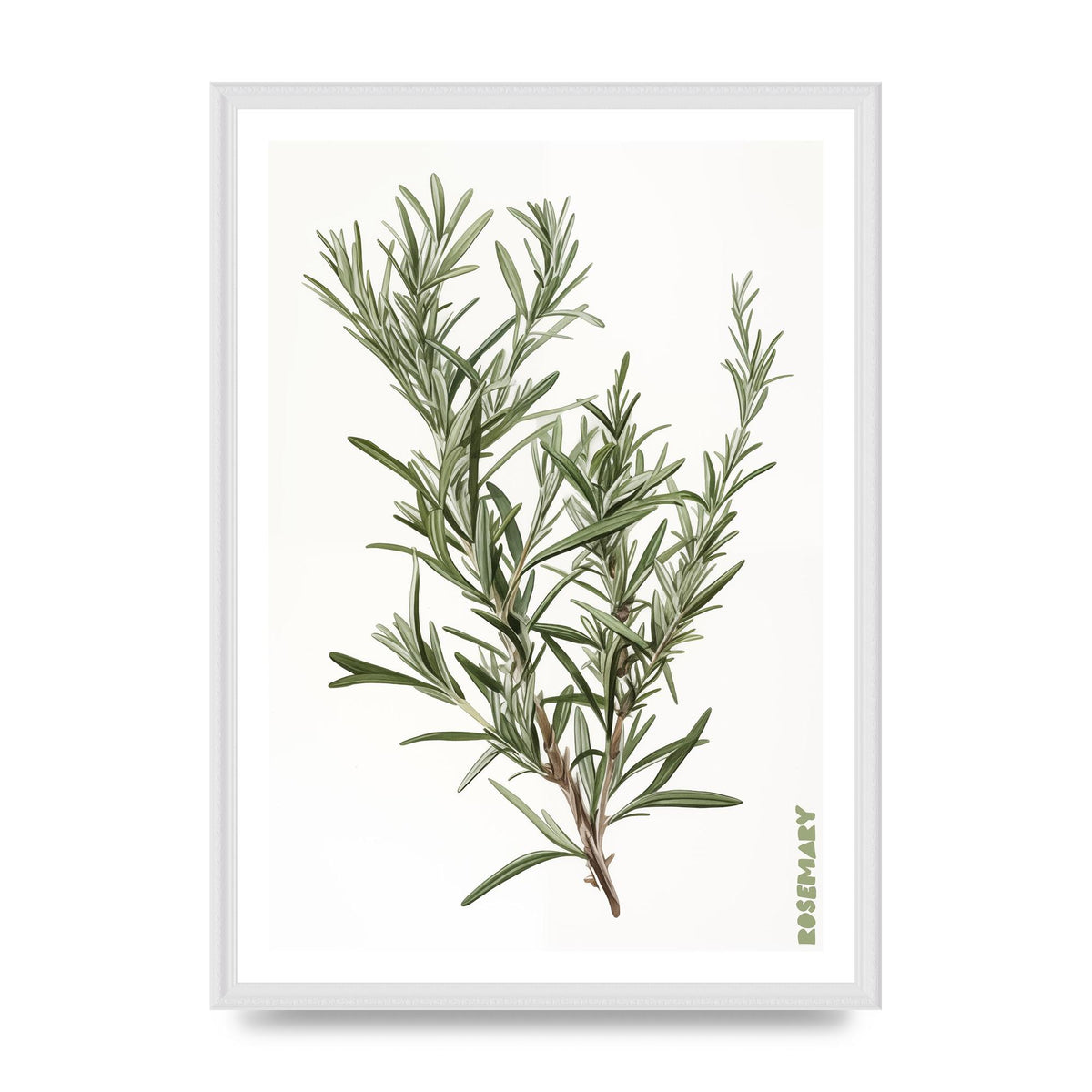 Rosemary Whispers in Minimalist Art