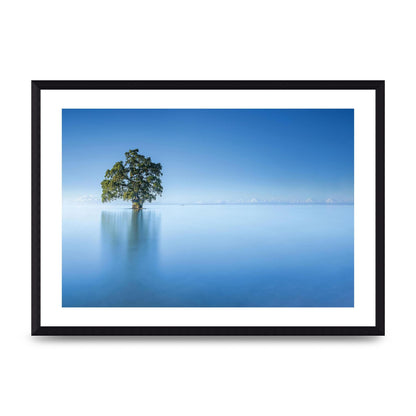 Tree In The Lahad Datu Beach Sabah Borneo Malaysia Art For The Home - A3 framed