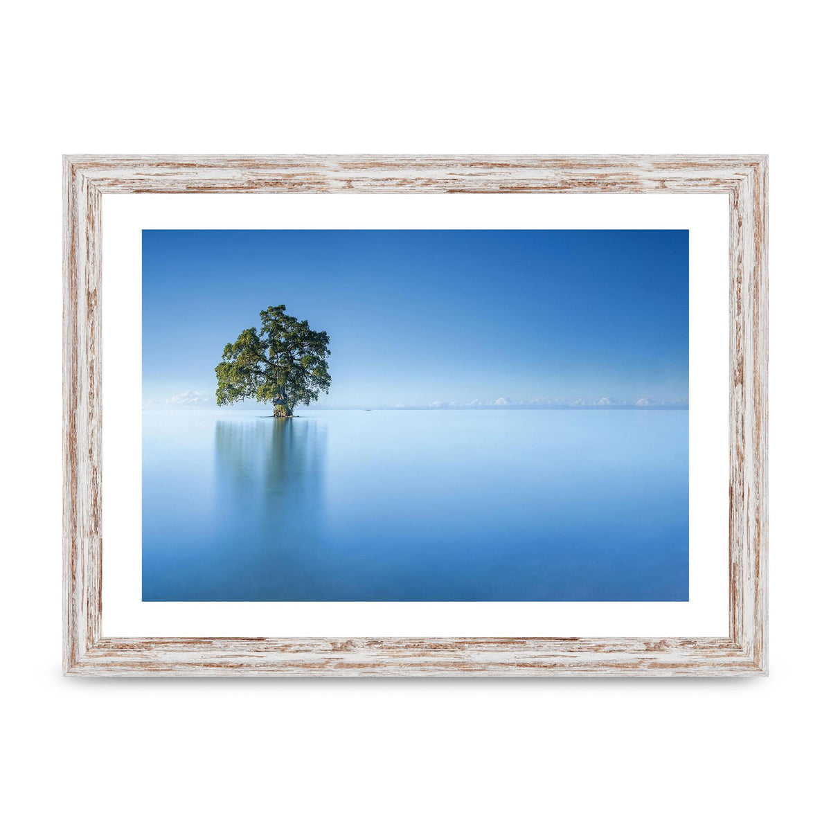 Tree In The Lahad Datu Beach Sabah Borneo Malaysia Art For The Home - A4 framed