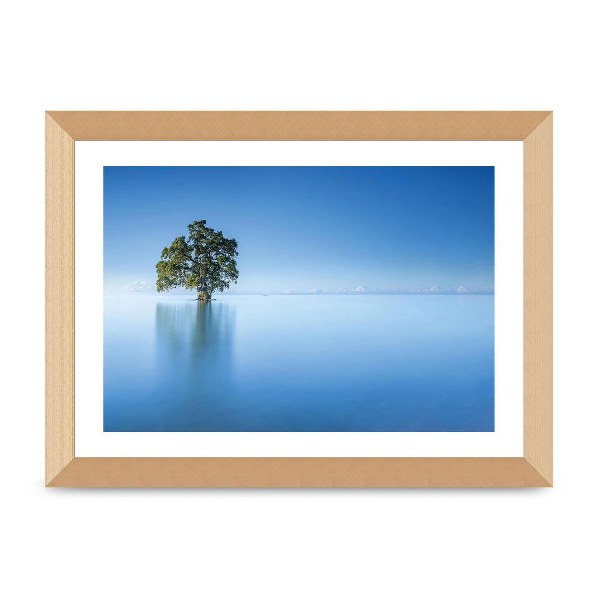 Tree In The Lahad Datu Beach Sabah Borneo Malaysia Art For The Home - A4 framed