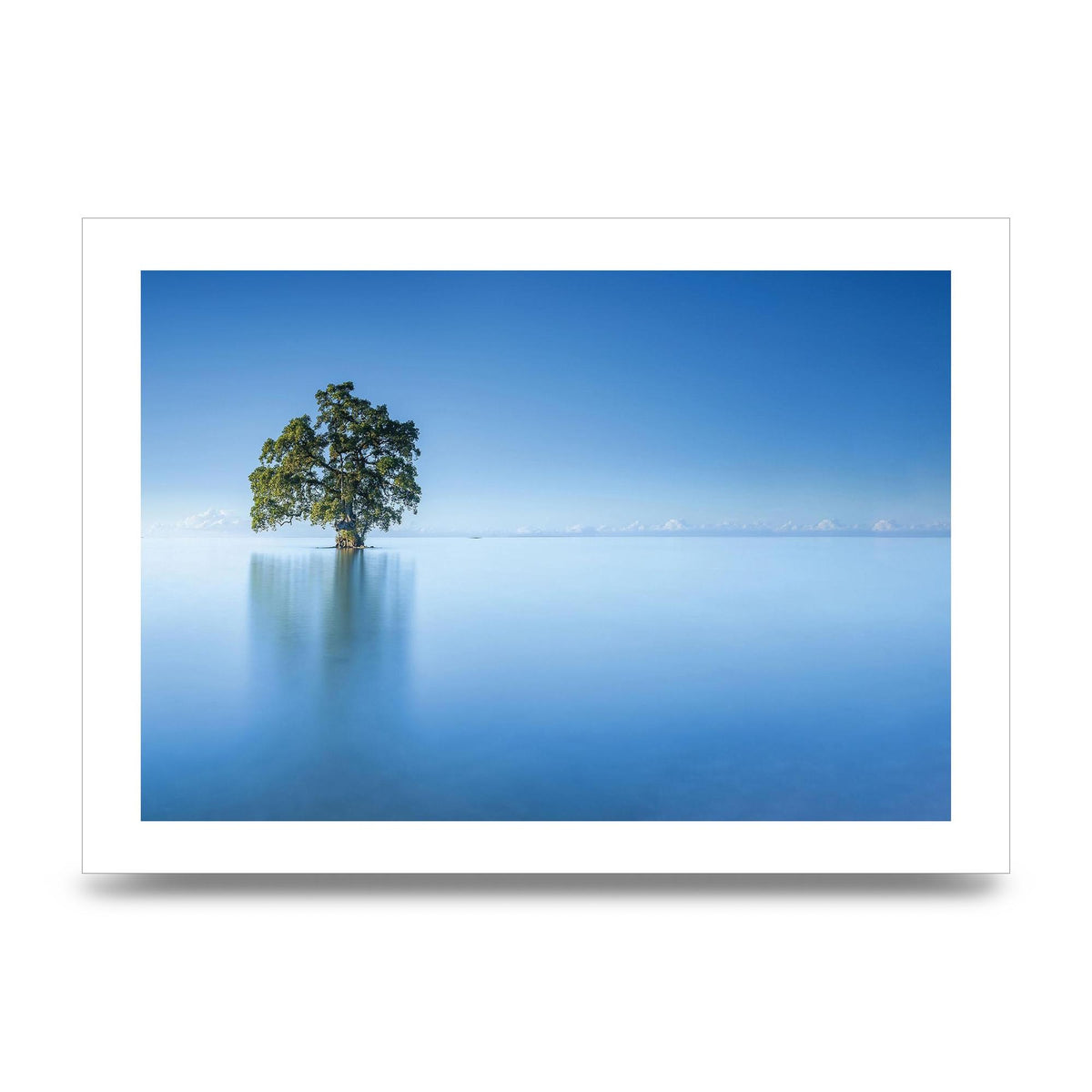 Tree In The Lahad Datu Beach Sabah Borneo Malaysia Art For The Home - unframed print