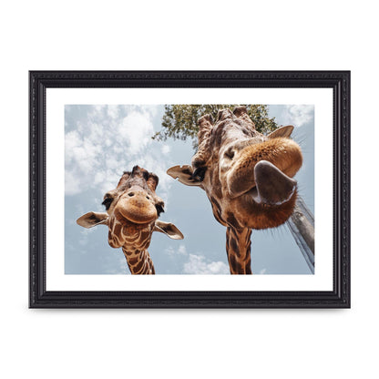 2 Giraffes Tongue Out Wall Art - A4 framed