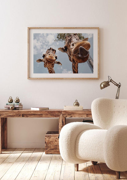 2 Giraffes Tongue Out Wall Art - landscape living room 1