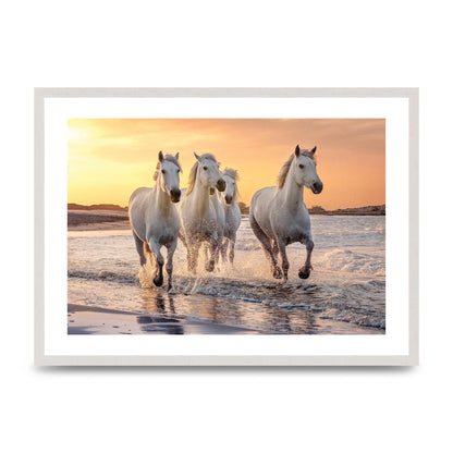 White Horses On A Beach Camargue France Art For The Home - A2 framed