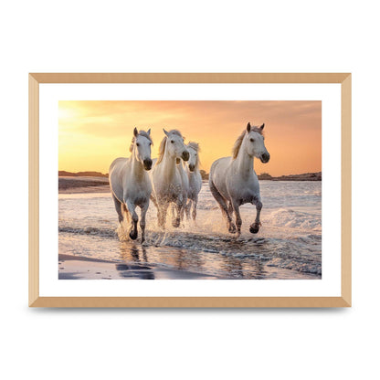 White Horses On A Beach Camargue France Art For The Home - A2 framed