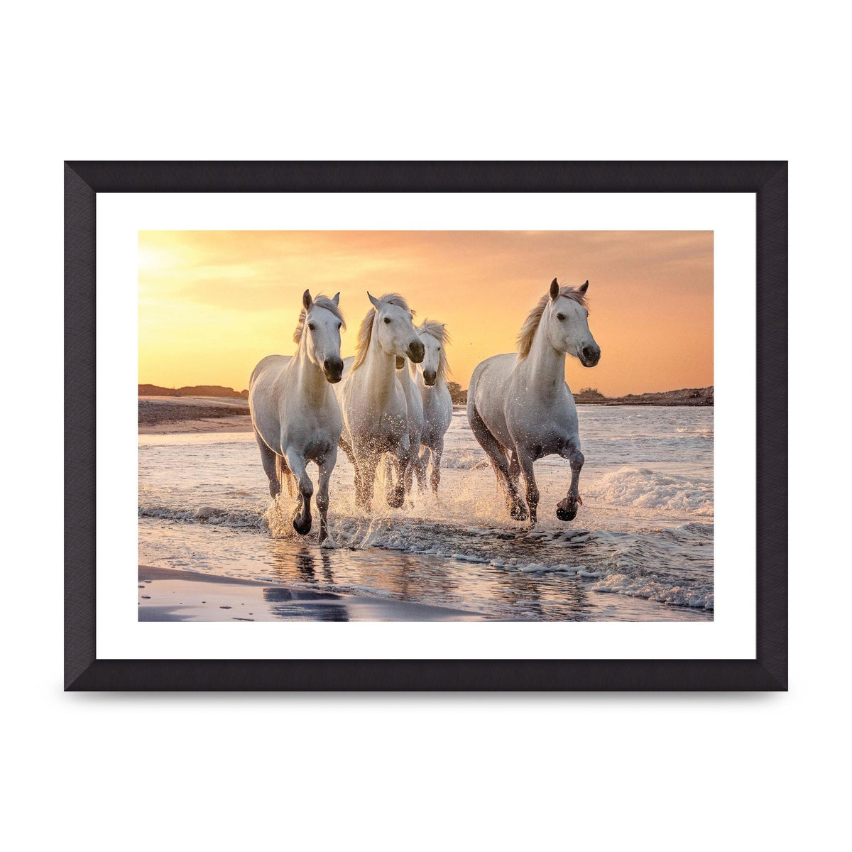 White Horses On A Beach Camargue France Art For The Home - A3 framed