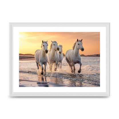 White Horses On A Beach Camargue France Art For The Home - A3 framed