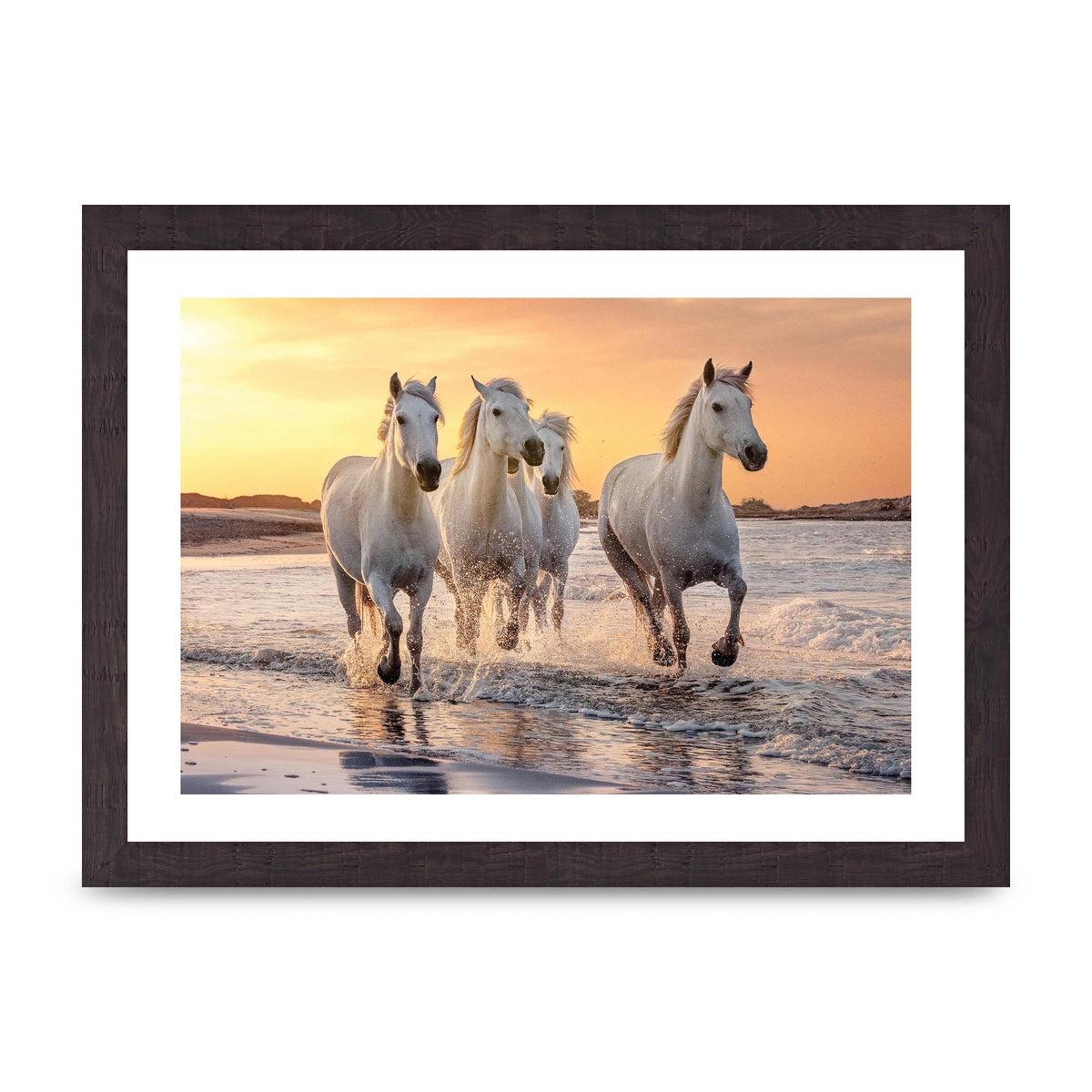 White Horses On A Beach Camargue France Art For The Home - A4 framed
