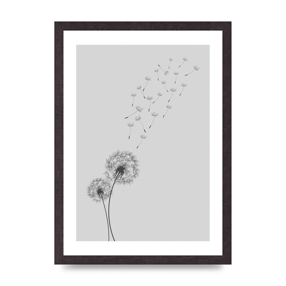 Dandelion Wind Wall Art - A3 framed