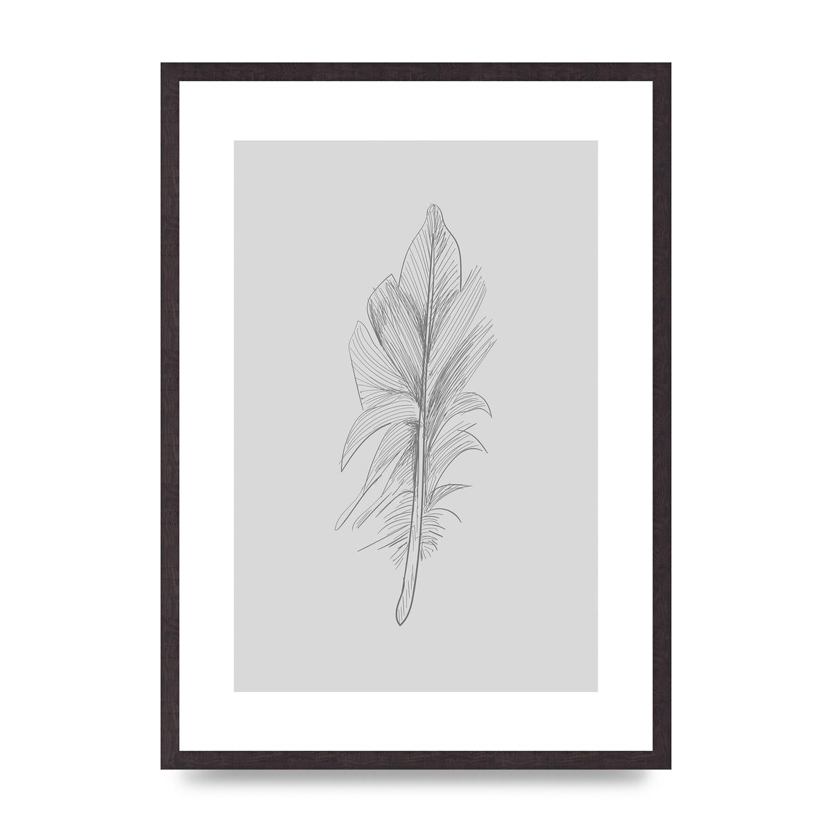 Feather Grey 3 Art For The Home - A2 framed