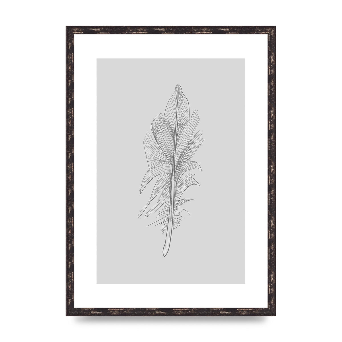 Feather Grey 3 Art For The Home - A2 framed