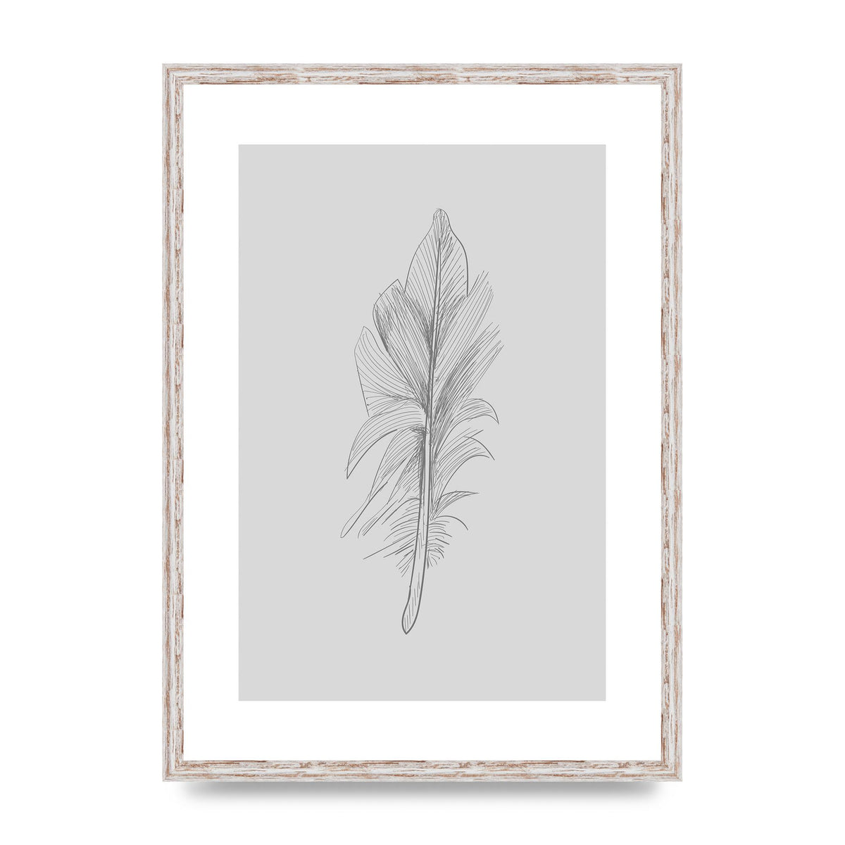 Feather Grey 3 Art For The Home - A2 framed