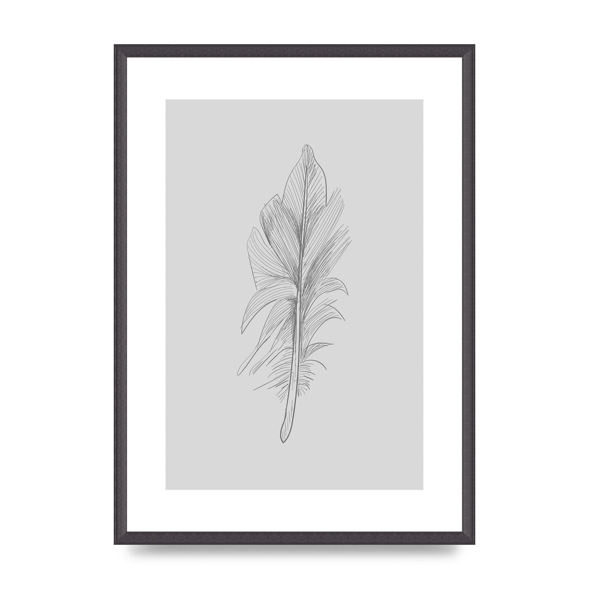 Feather Grey 3 Art For The Home - A2 framed