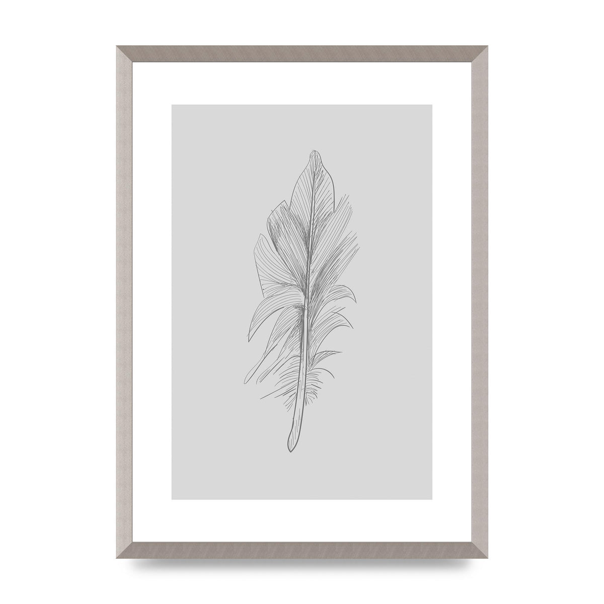 Feather Grey 3 Art For The Home - A2 framed