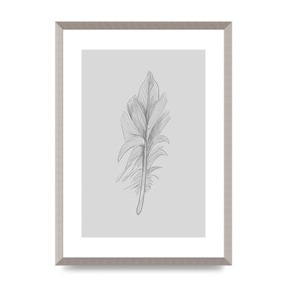 Feather Grey 3 Art For The Home - A2 framed
