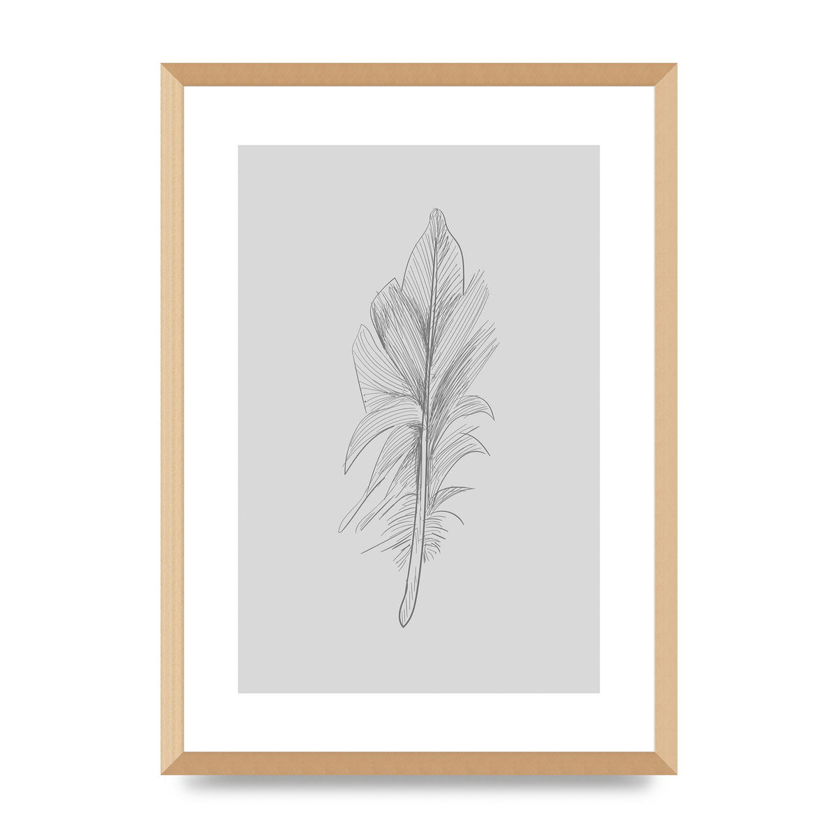 Feather Grey 3 Art For The Home - A2 framed