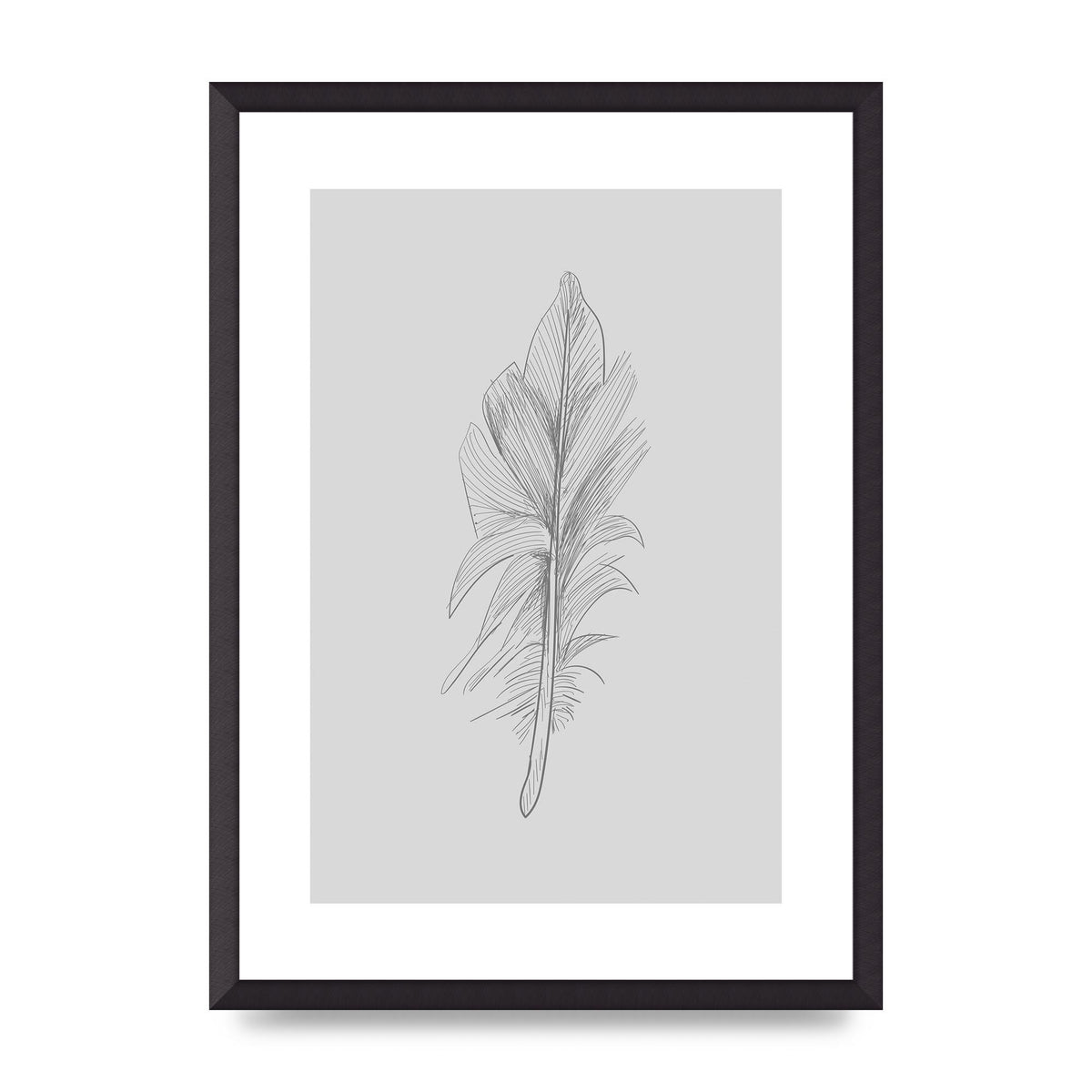 Feather Grey 3 Art For The Home - A2 framed