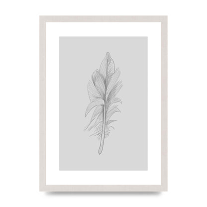 Feather Grey 3 Art For The Home - A3 framed