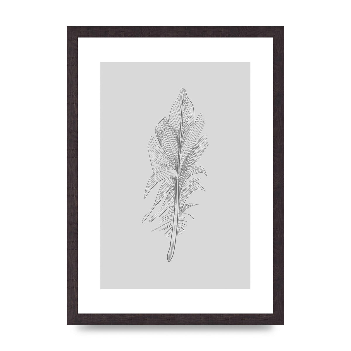 Feather Grey 3 Art For The Home - A3 framed