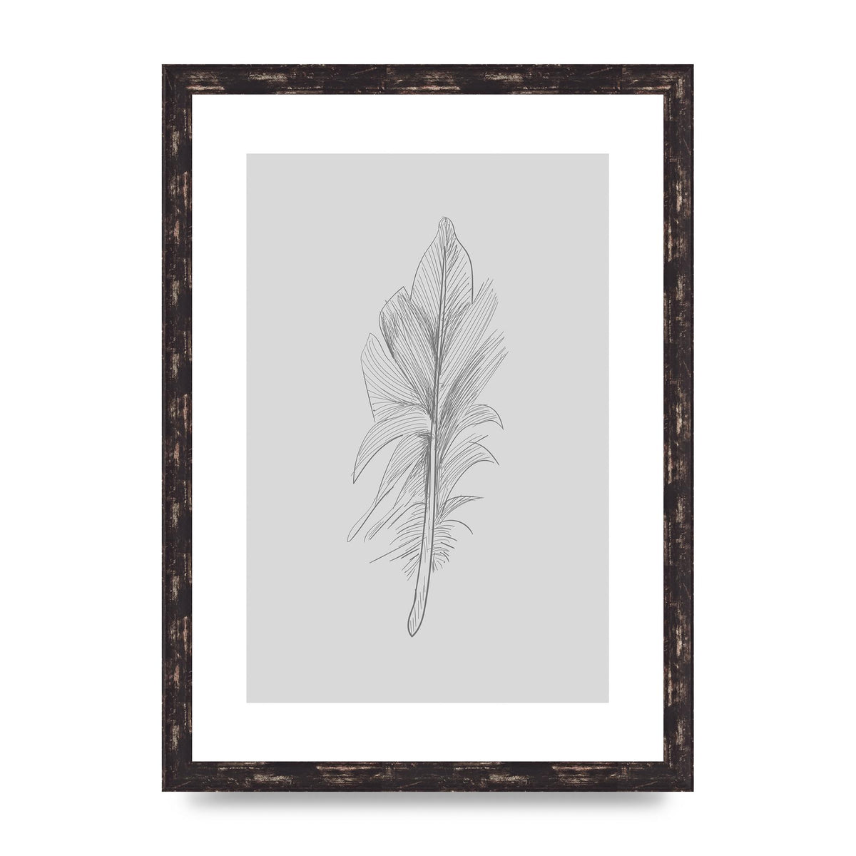 Feather Grey 3 Art For The Home - A3 framed