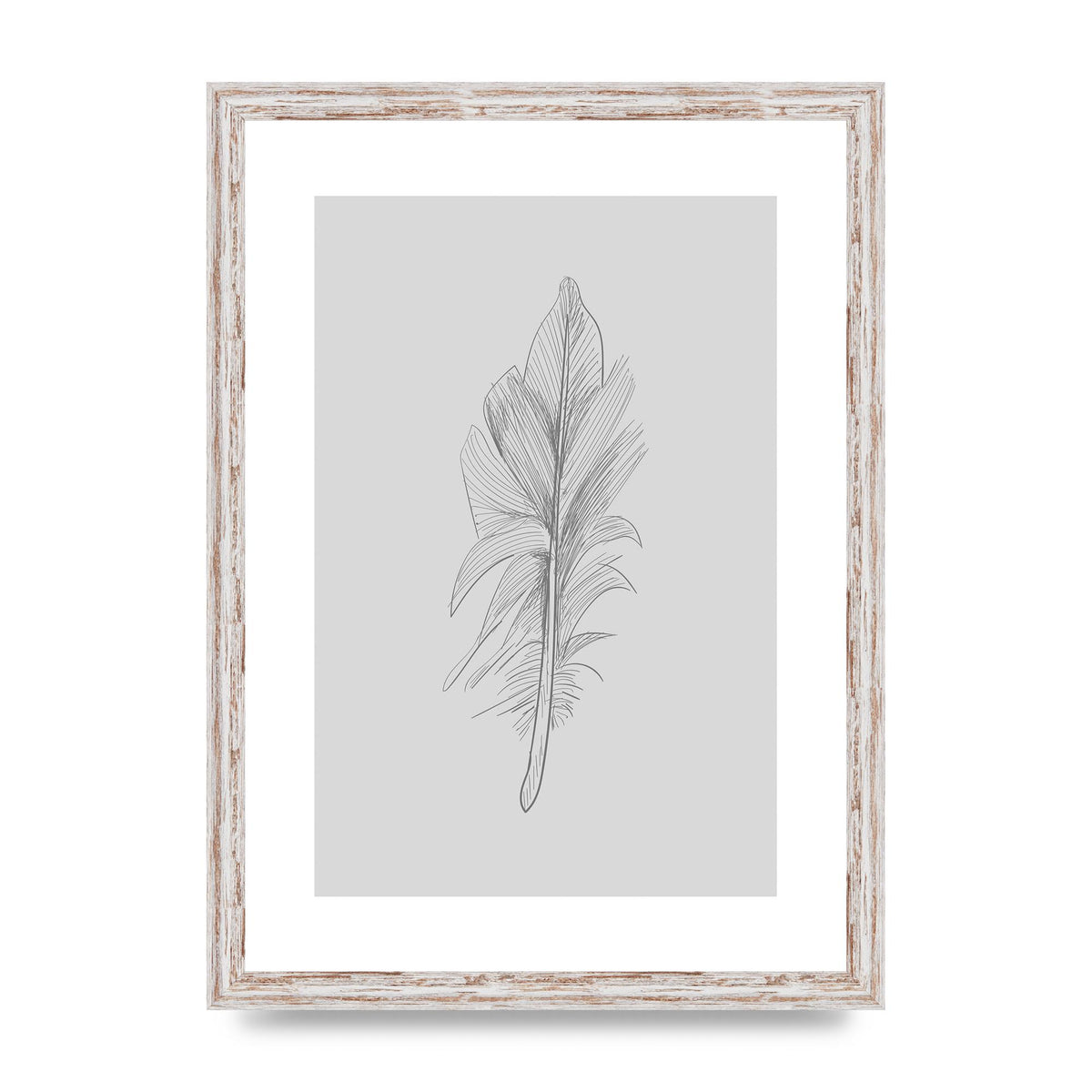 Feather Grey 3 Art For The Home - A3 framed