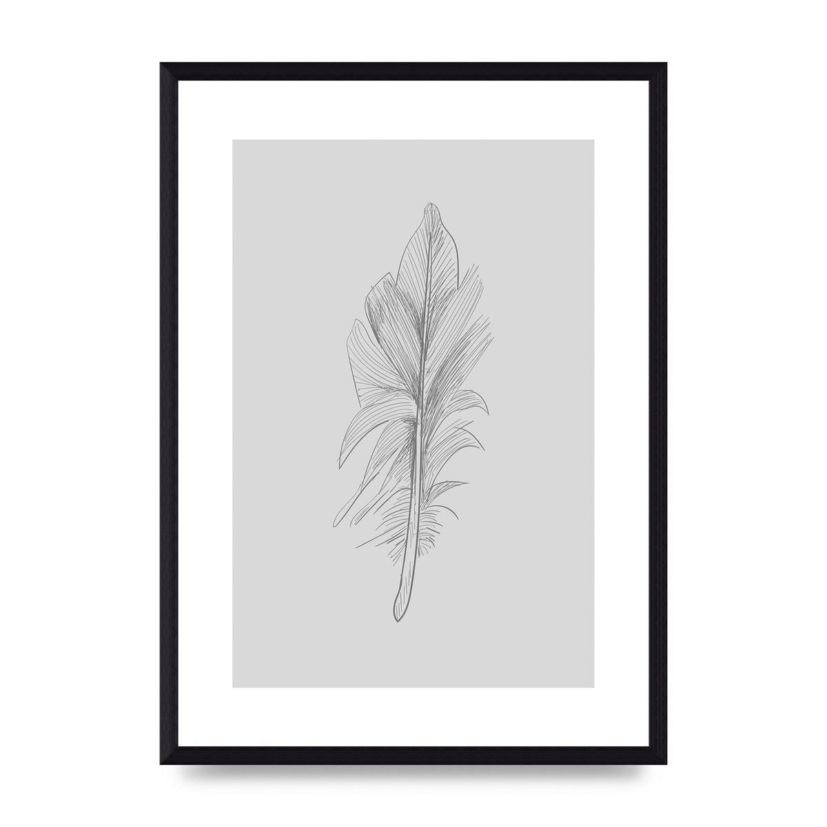 Feather Grey 3 Art For The Home - A3 framed