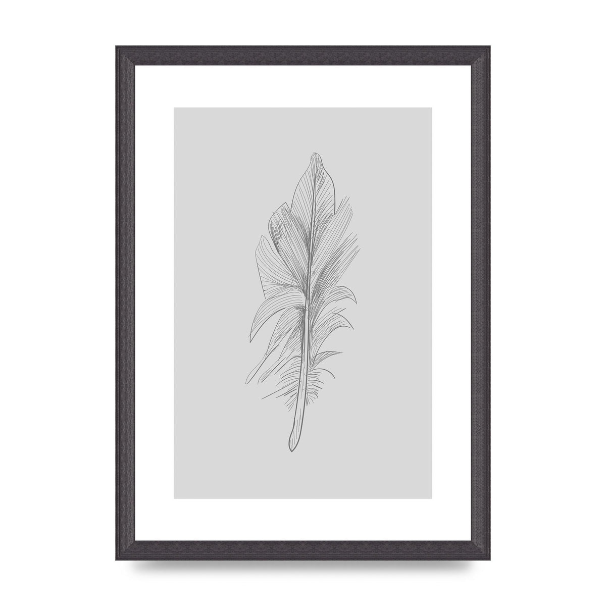 Feather Grey 3 Art For The Home - A3 framed