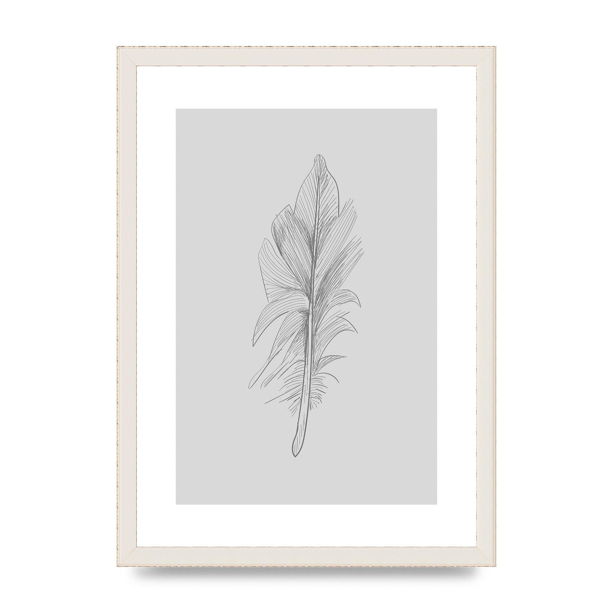 Feather Grey 3 Art For The Home - A3 framed