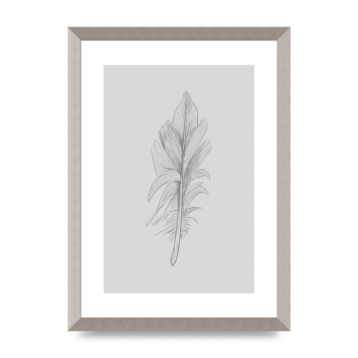 Feather Grey 3 Art For The Home - A3 framed