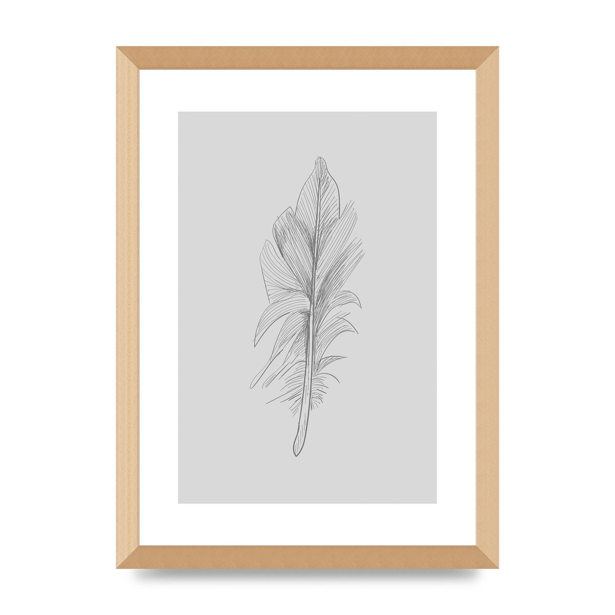 Feather Grey 3 Art For The Home - A3 framed