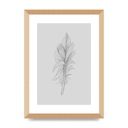 Feather Grey 3 Art For The Home - A3 framed