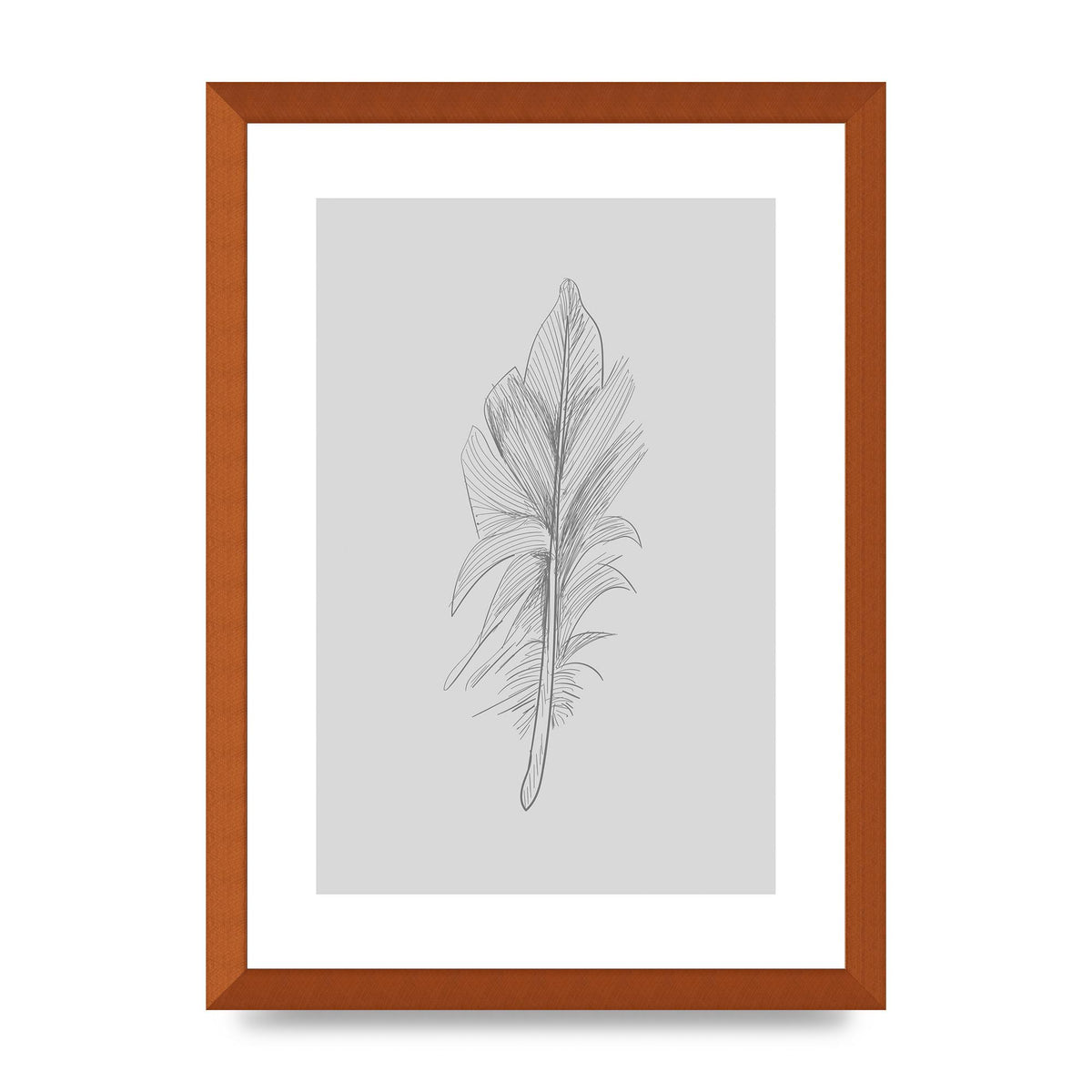 Feather Grey 3 Art For The Home - A3 framed