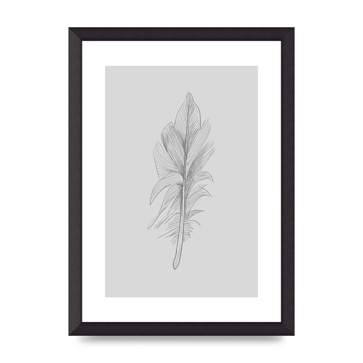Feather Grey 3 Art For The Home - A3 framed