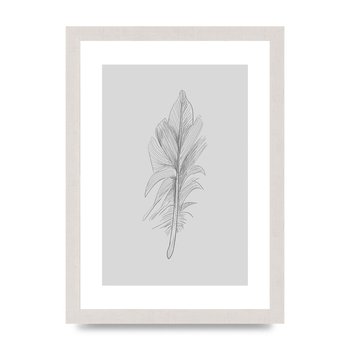 Feather Grey 3 Art For The Home - A4 framed