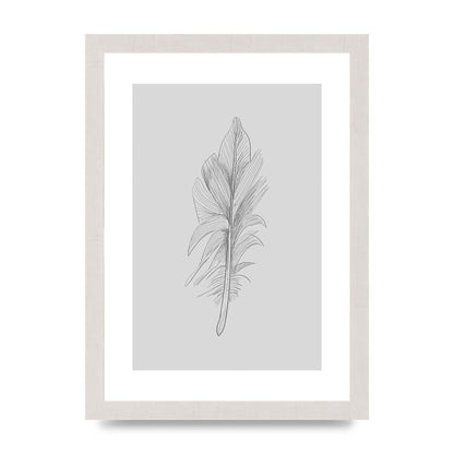Feather Grey 3 Art For The Home - A4 framed