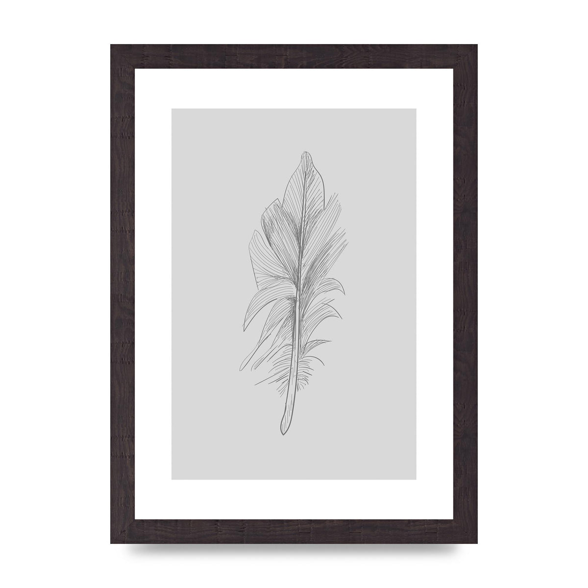 Feather Grey 3 Art For The Home - A4 framed