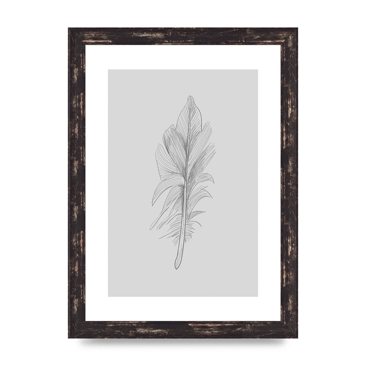 Feather Grey 3 Art For The Home - A4 framed