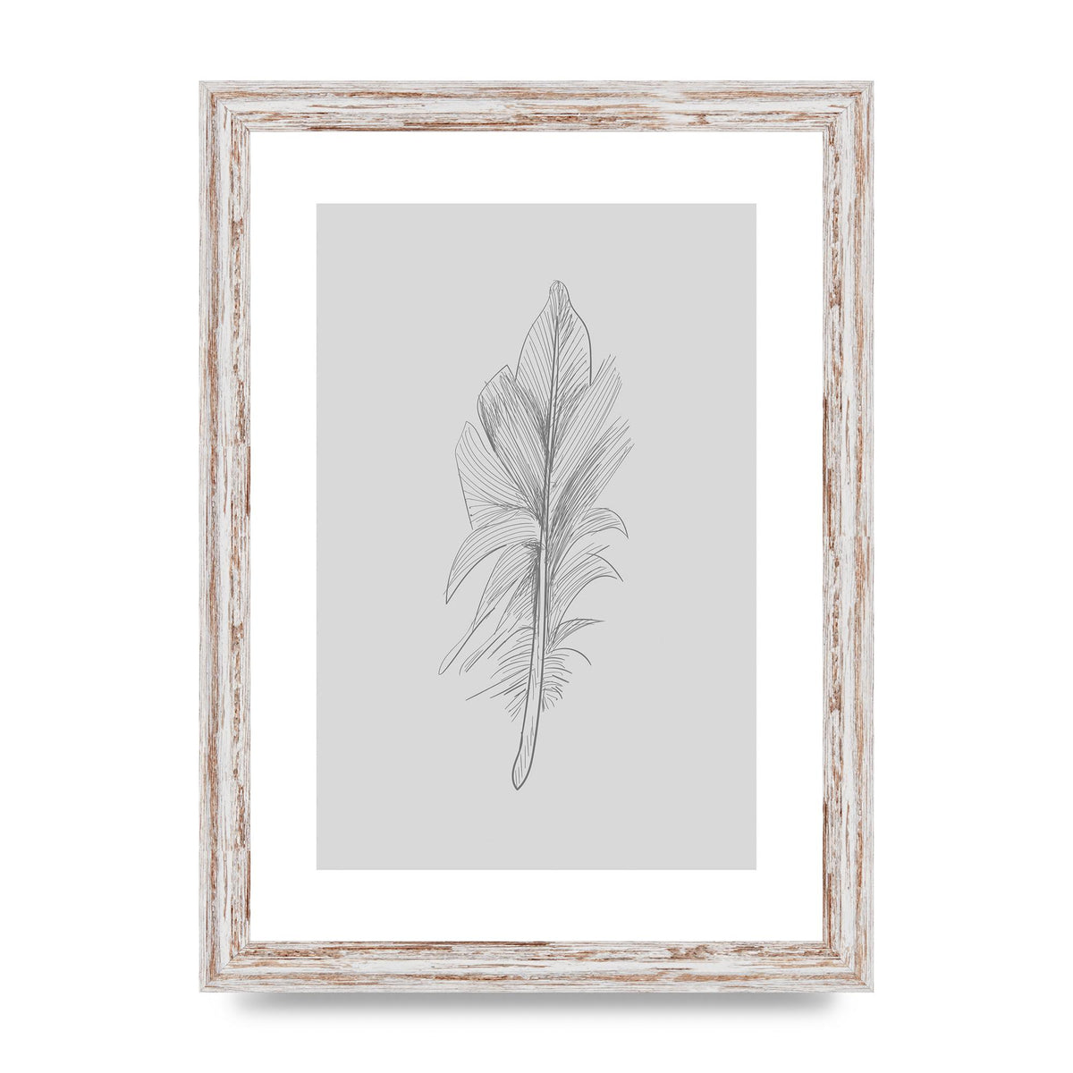 Feather Grey 3 Art For The Home - A4 framed