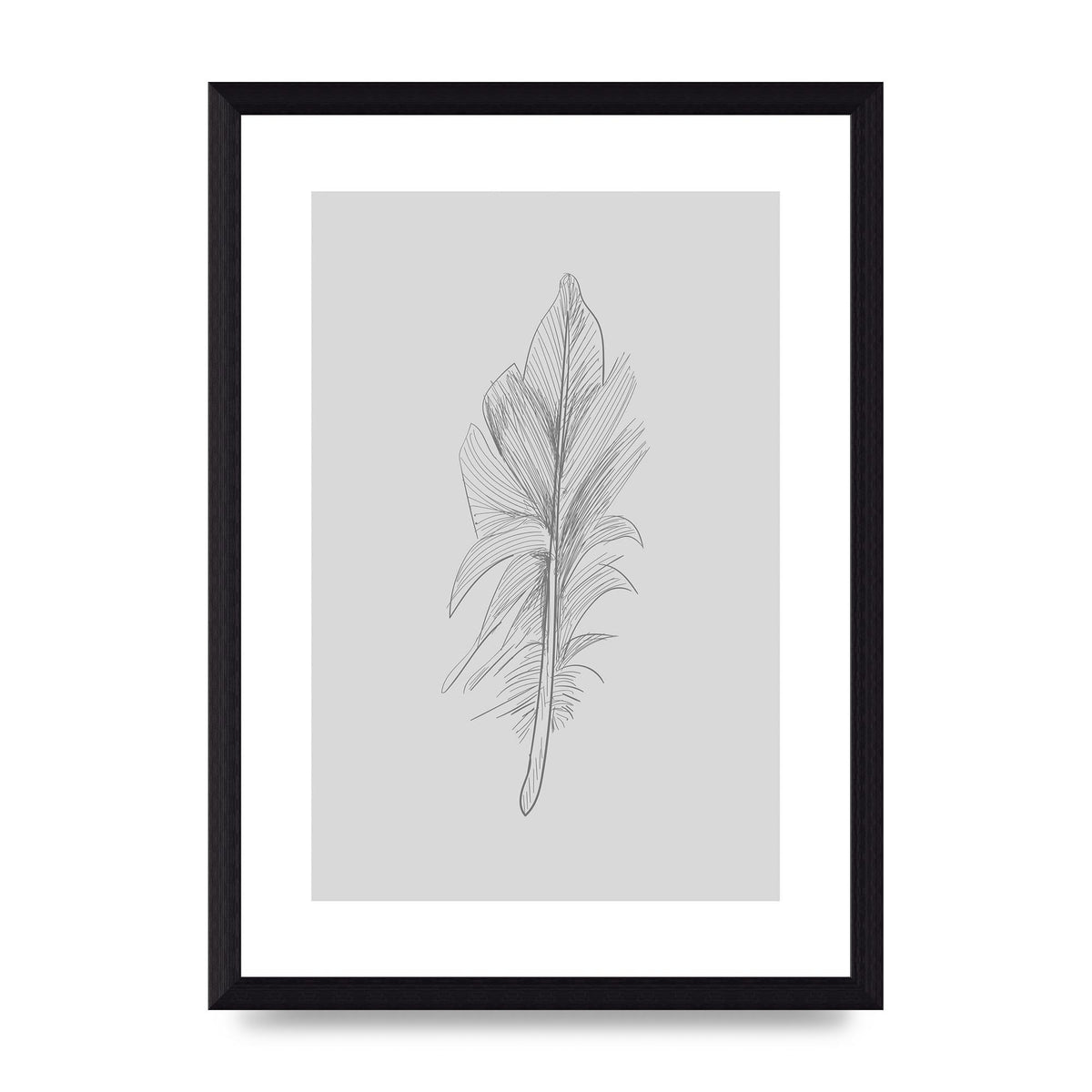 Feather Grey 3 Art For The Home - A4 framed