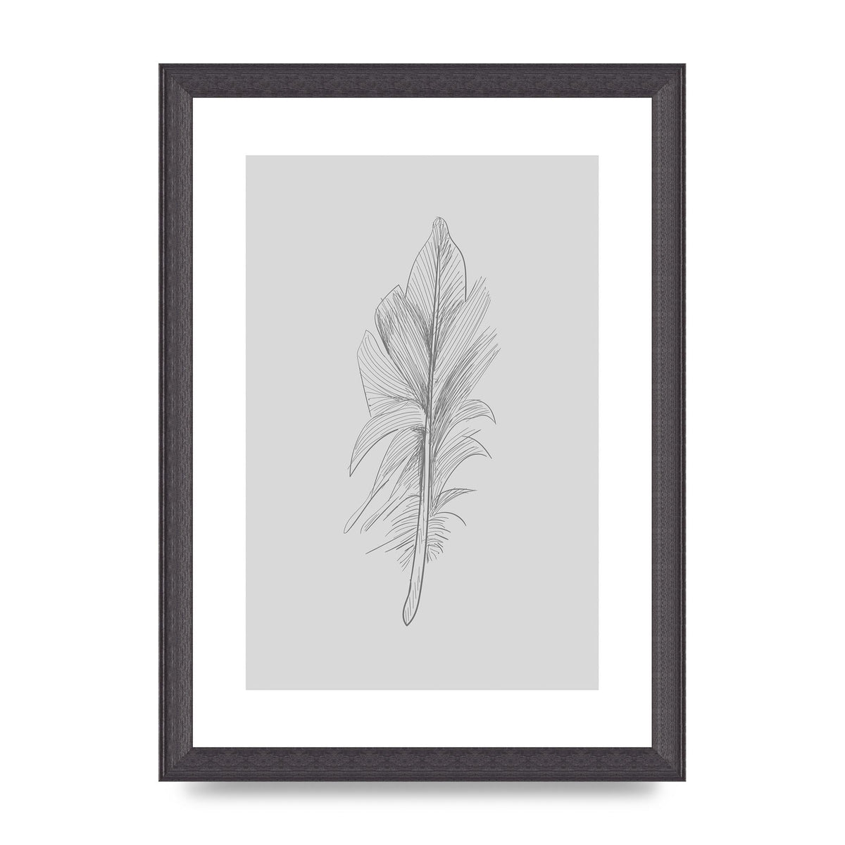 Feather Grey 3 Art For The Home - A4 framed