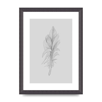 Feather Grey 3 Art For The Home - A4 framed