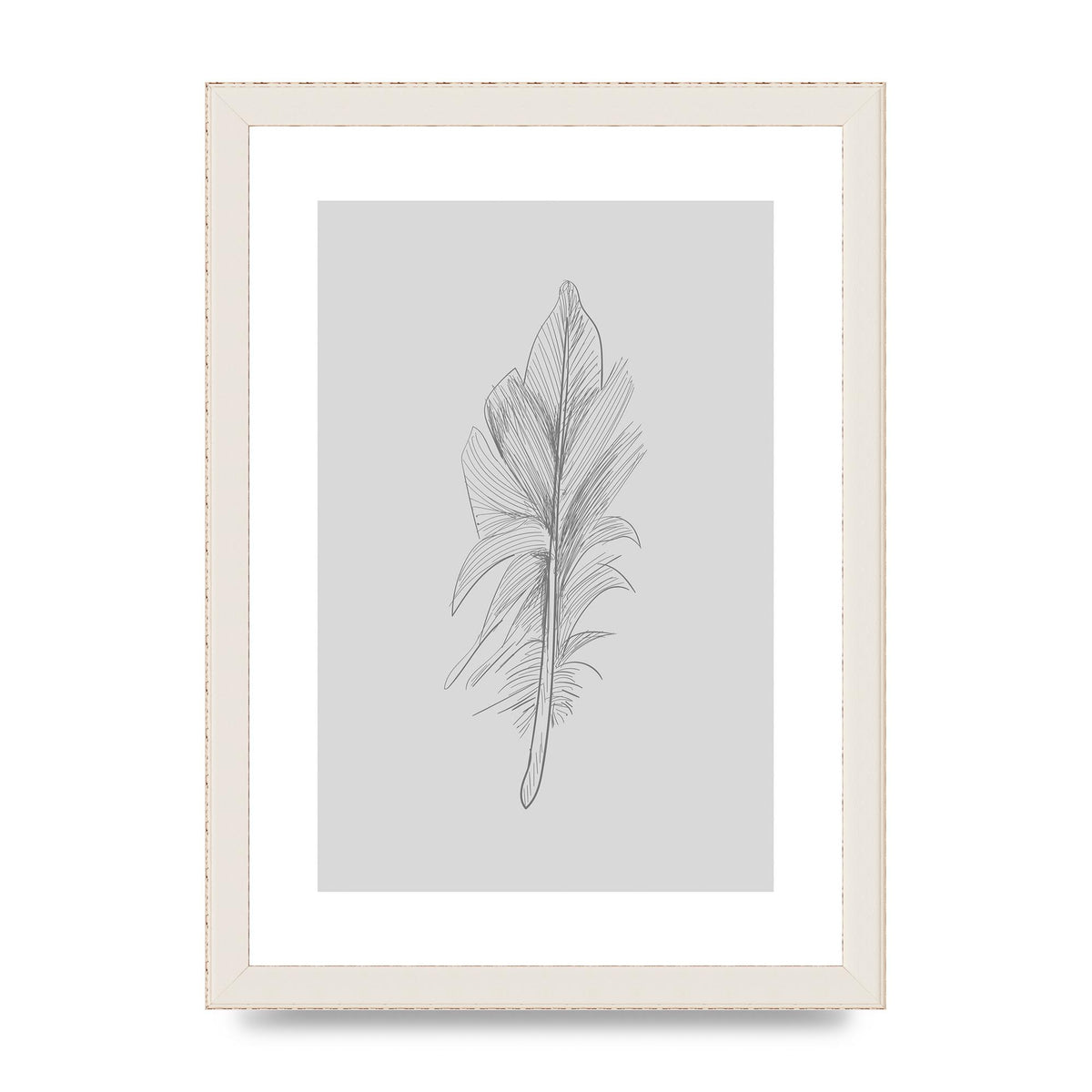 Feather Grey 3 Art For The Home - A4 framed