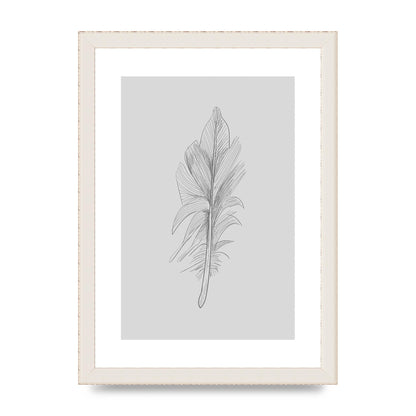 Feather Grey 3 Art For The Home - A4 framed