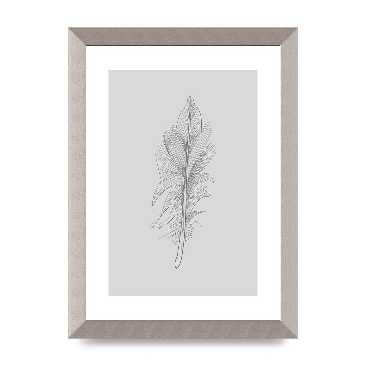 Feather Grey 3 Art For The Home - A4 framed