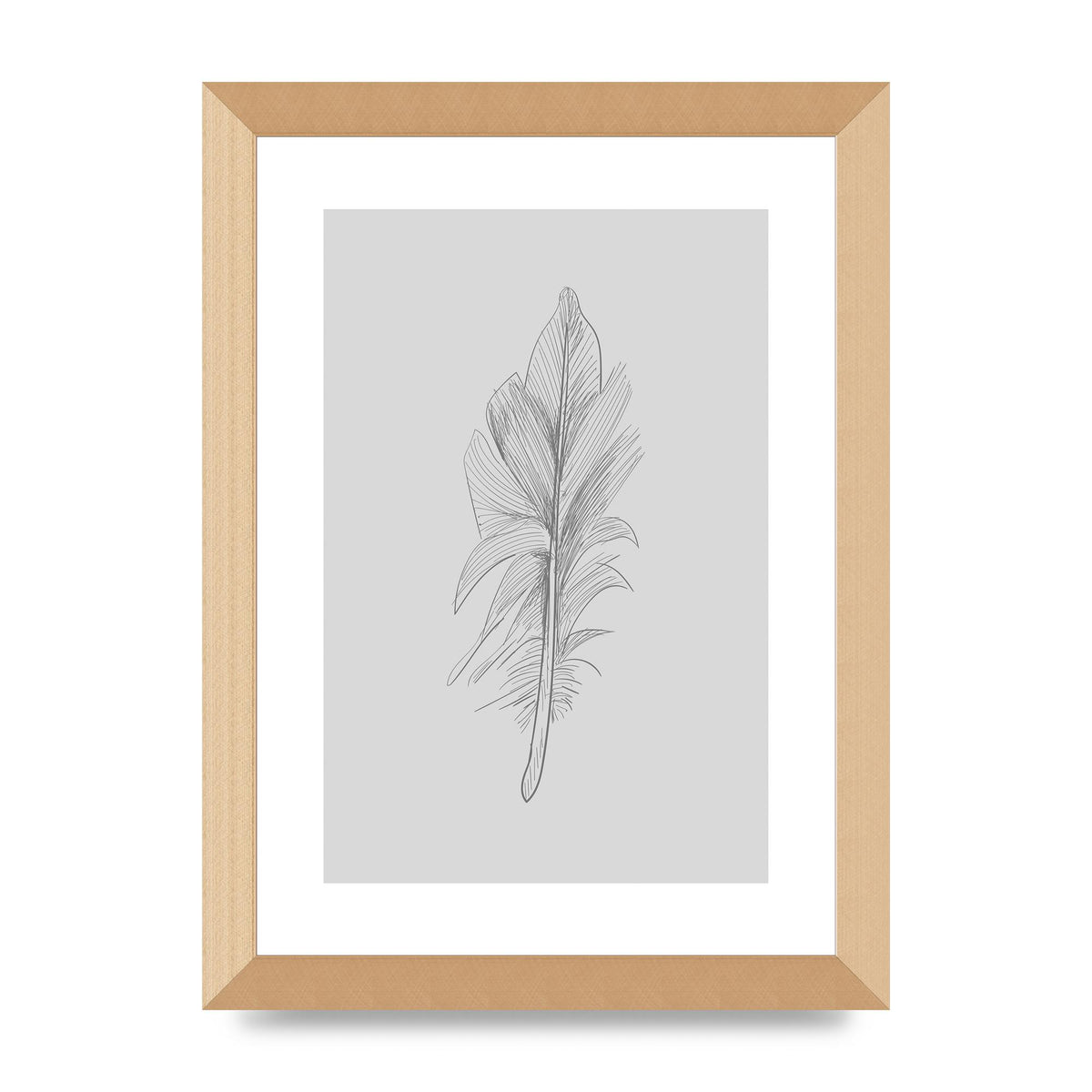 Feather Grey 3 Art For The Home - A4 framed
